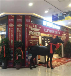 新店開業(yè)第二十三彈  包頭衣柜加盟旗艦店盛裝開業(yè)，惠動全城！